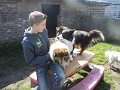 afb_20160501 (3)